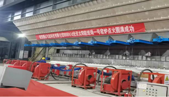 成人抖音在线观看